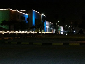 �����ع���